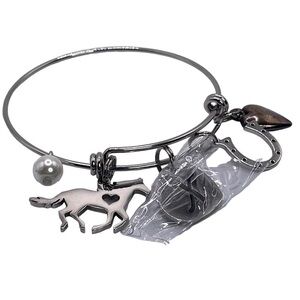 Charm bracelet with 5 charms New